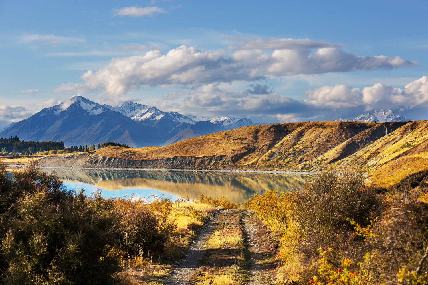 New Zealand | Your Ultimate Guide